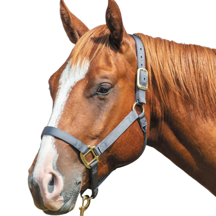 Weaver Original Nylon Horse Halter