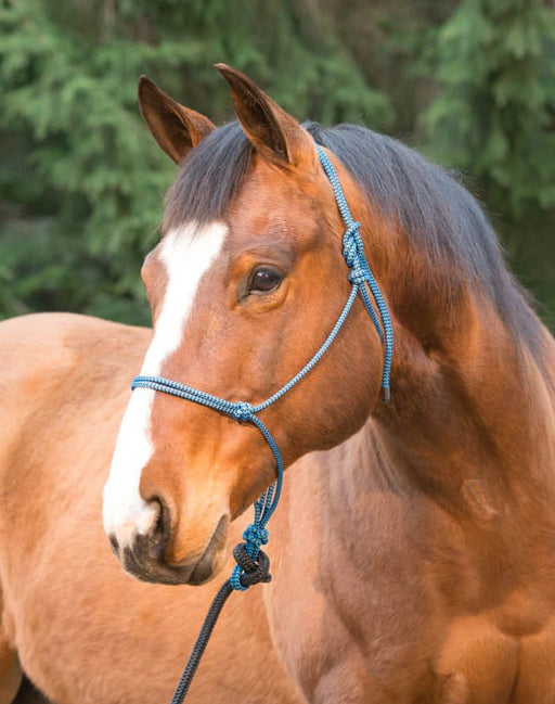 Weaver Silvertip Big Sky Rope Halter, Full Size - Jeffers - Horse Supplies > Horse Tack > Horse Halters