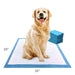 Wee - Wee Superior Performance Dog Pee Pads - Jeffers - Animal & Pet Supplies > Pet Training Aids