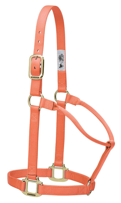 Weaver Original Nylon Horse Halter - Jeffers - Horse Supplies > Horse Tack > Horse Halters