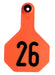 Y-Tex Numbered Cattle Ear Tag ID, Medium - Orange 51-75 