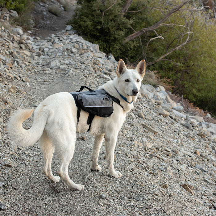 Zippy Paws Lightweight Adventure Backpack, Graphite Size Extra Large