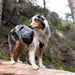 Zippy Paws Lightweight Adventure Backpack, Graphite Size Extra Large