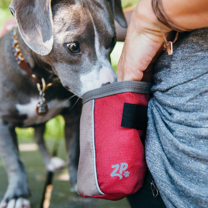 Zippy Paws Adventure Treat Bag Color Desert Red